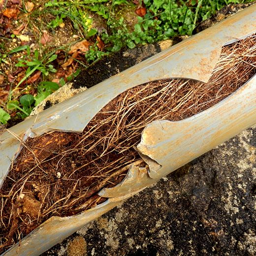 Same Day Drain Sewer & Rooter Pros Across Ashland